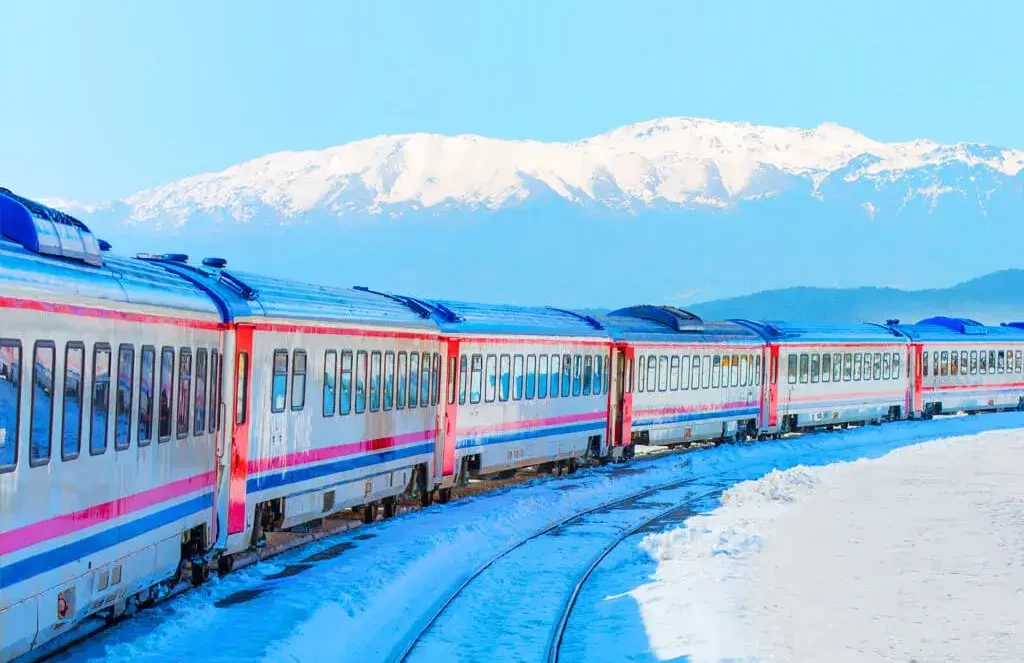 TerraBridge Train Connectivity