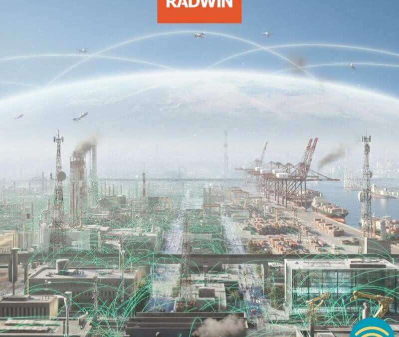 Satellite Internet or Terrestrial Networks?